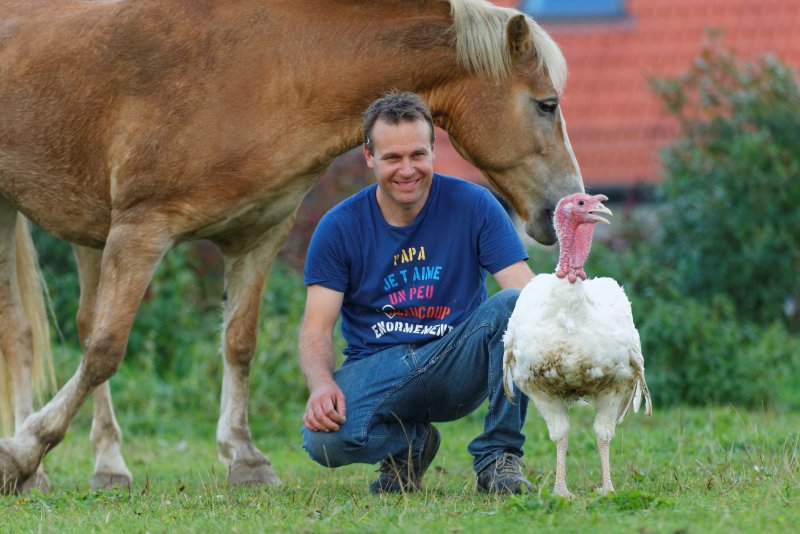 Ferme Avicole de Coutiches